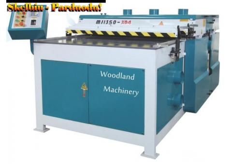 20-20-556 Daugiapjūklės staklės plokštėms WOODLAND MACHINERY (naujos)