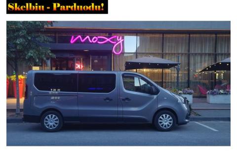 Keleivinio mikroautobuso nuoma su vairuotoju Kaune tel:+37064314115