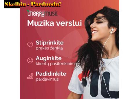 Auginkite įmonės prekės ženklą ir pardavimus
